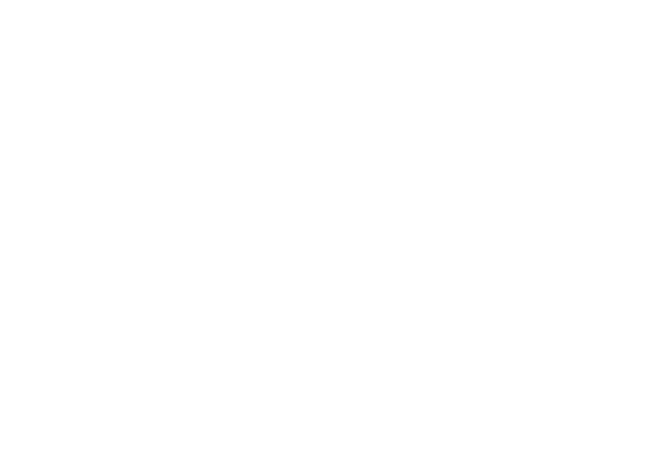 Hệ thống đại lý F1